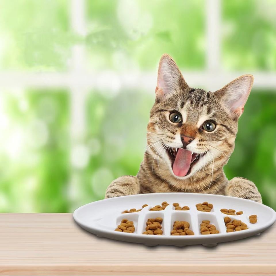 Silicon Rubber Slow Feeder Bowl for Dog Cat